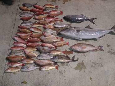 Fort Myers Report Photo 2