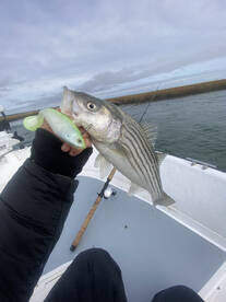 Brigantine Report Photo 2