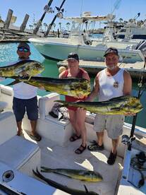 San Jose del Cabo Report Photo 2