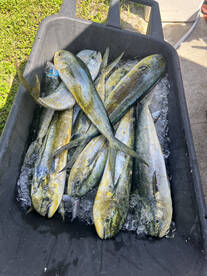 Trevor’s  Birthday Trip  