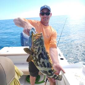 Naples Report Photo 2