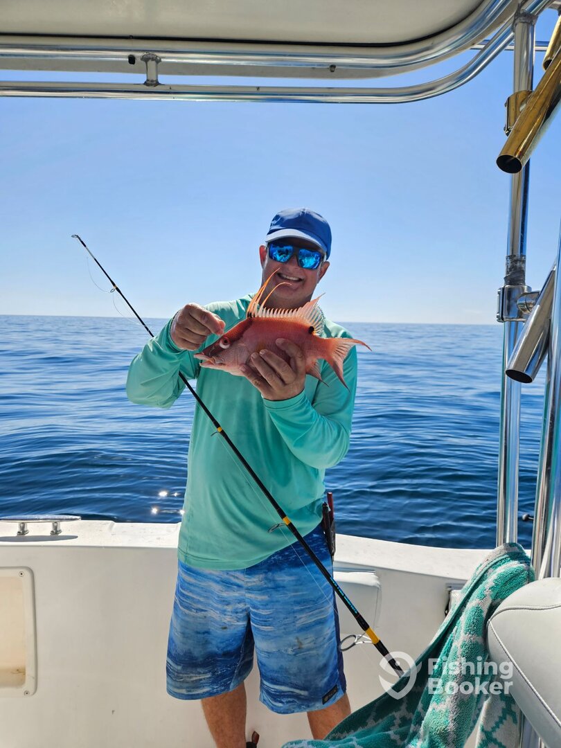 Almost a Keeper Hog Fish inside of 5 miles