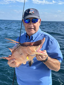 Bradenton Beach Report Photo 2
