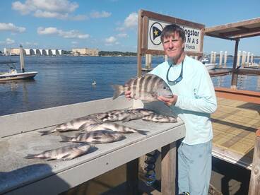 Sheepshead are CHEWING!