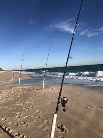 Cocoa Beach Report Photo 1