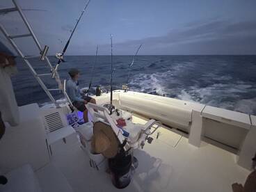 Puerto Aventuras Report Photo 2