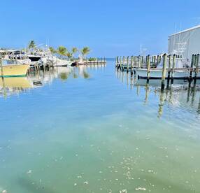 Islamorada Report Photo 1