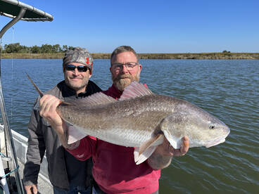 Mandeville Report Photo 4