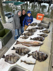Mandeville Report Photo 3