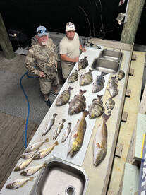 Mandeville Report Photo 1