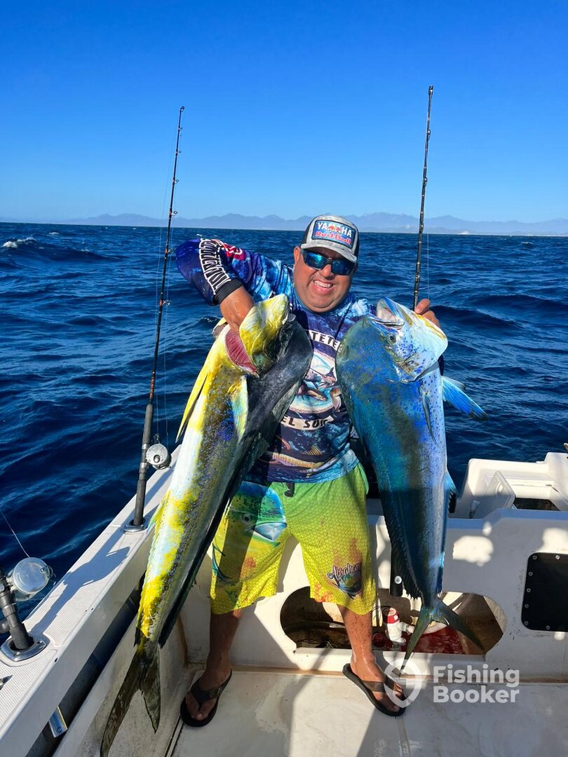 San Jose del Cabo Report Photo 0