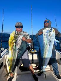 San Jose del Cabo Report Photo 1