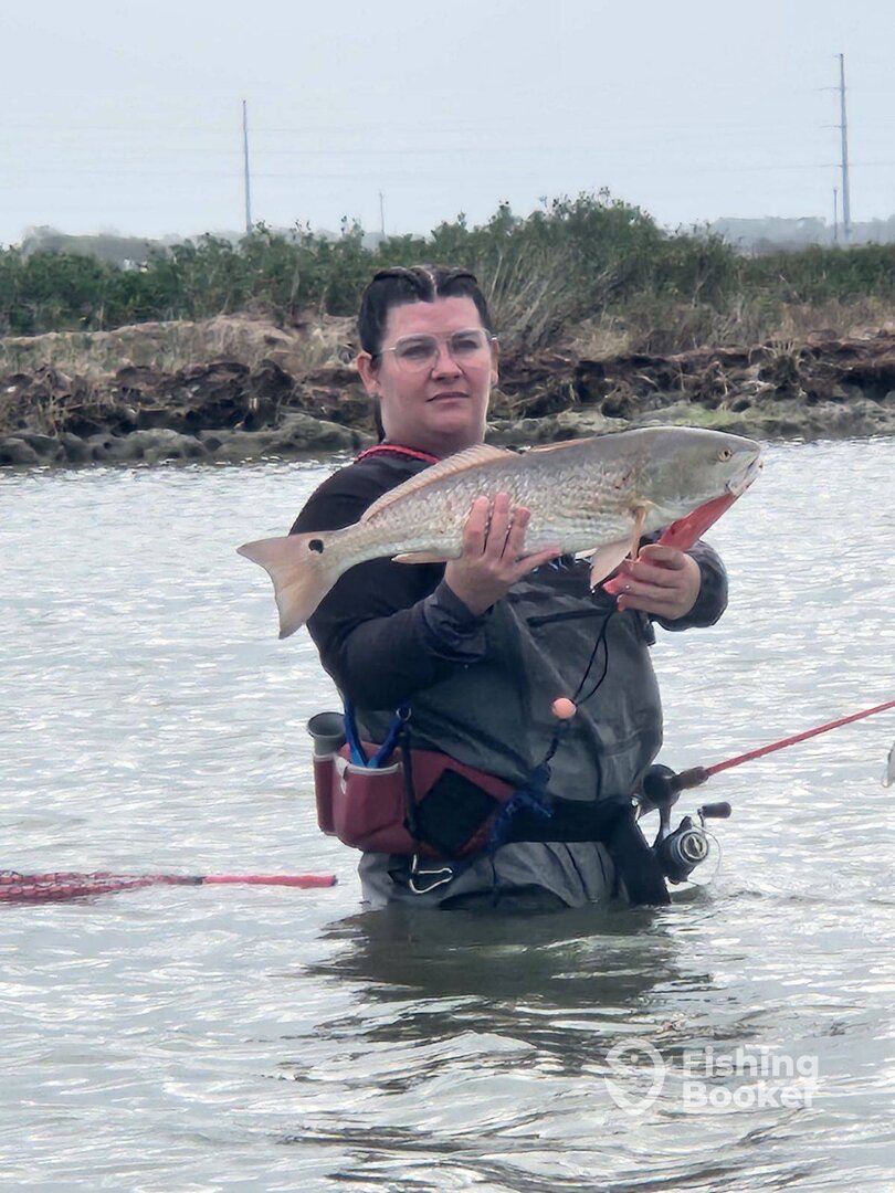 Aransas Pass Report Photo 0