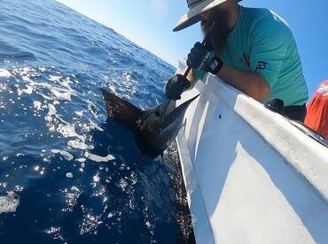 Nicoya Report Photo 1