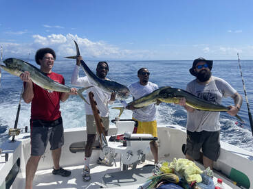 Quepos Report Photo 2