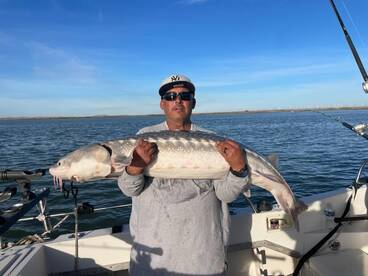 Awesome sturgeon action !!
