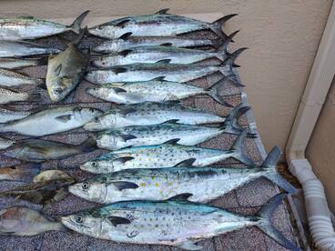 Crystal River Report Photo 1