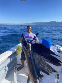 Puerto Vallarta Report Photo 1