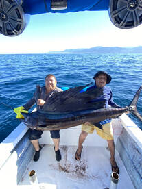 Puerto Vallarta Report Photo 2