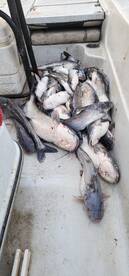 Wagoner Report Photo 1