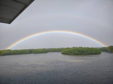 What Can Ya Do ... !!!