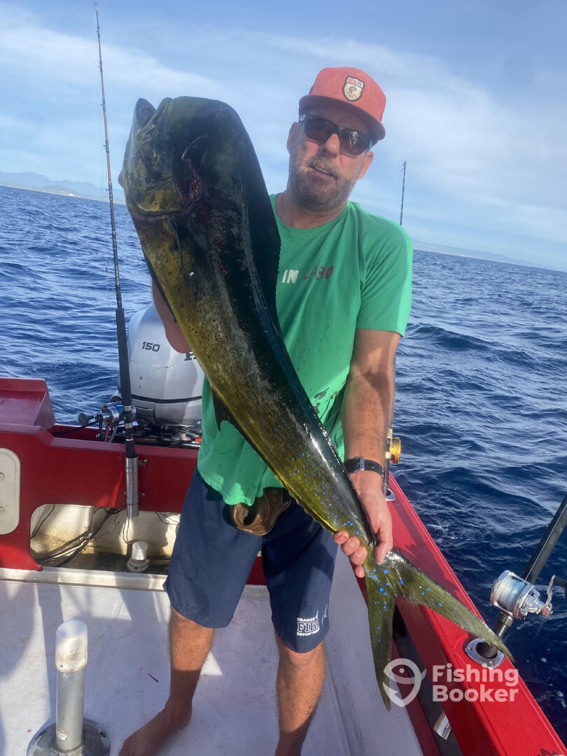 San Jose del Cabo Report Photo 0