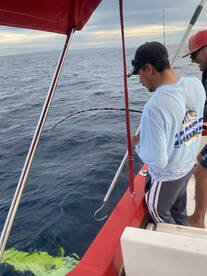 San Jose del Cabo Report Photo 2