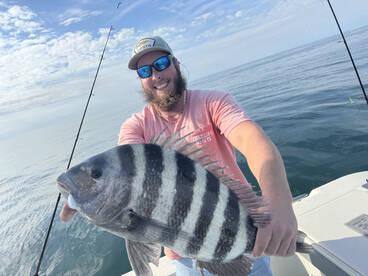 Sheep head is on fire lets go fishing 
