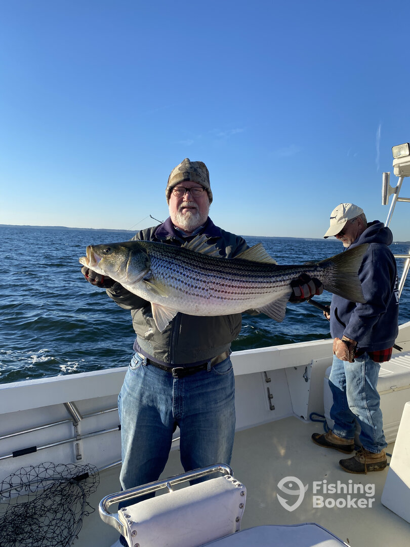 Reedville Report Photo 0