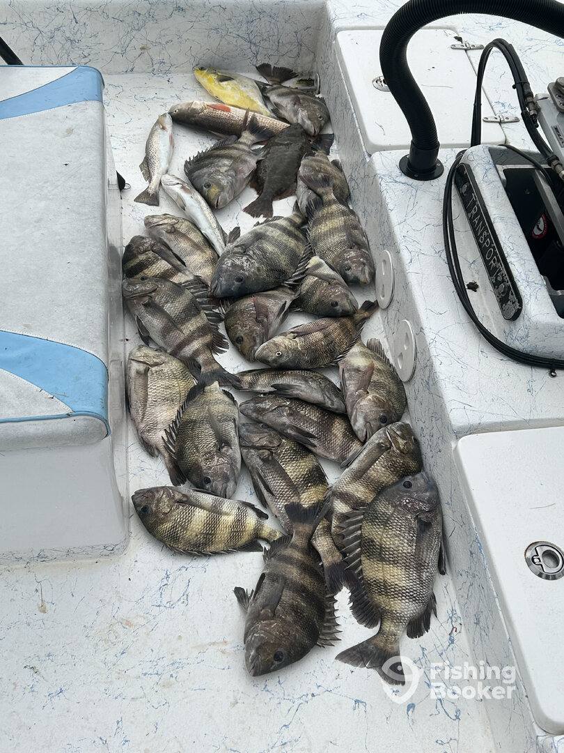 Port Aransas Report Photo 0