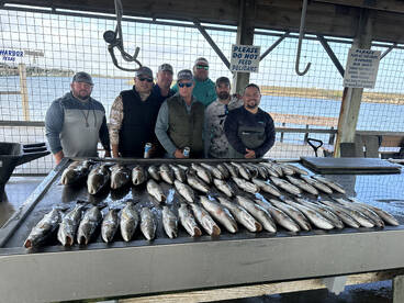 Matagorda Report Photo 1