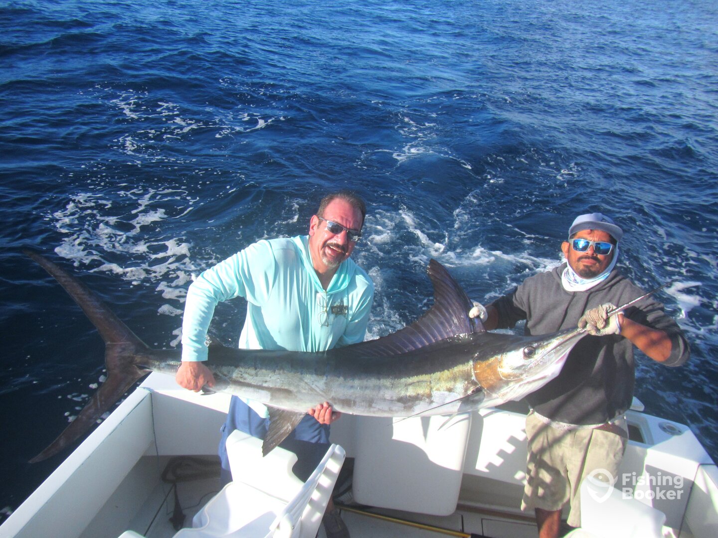 Cabo San Lucas Report Photo 0