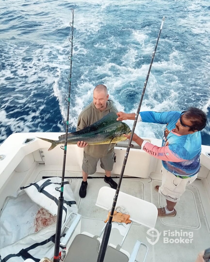 Cabo San Lucas Report Photo 0