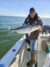 Stone Harbor Report Photo 2