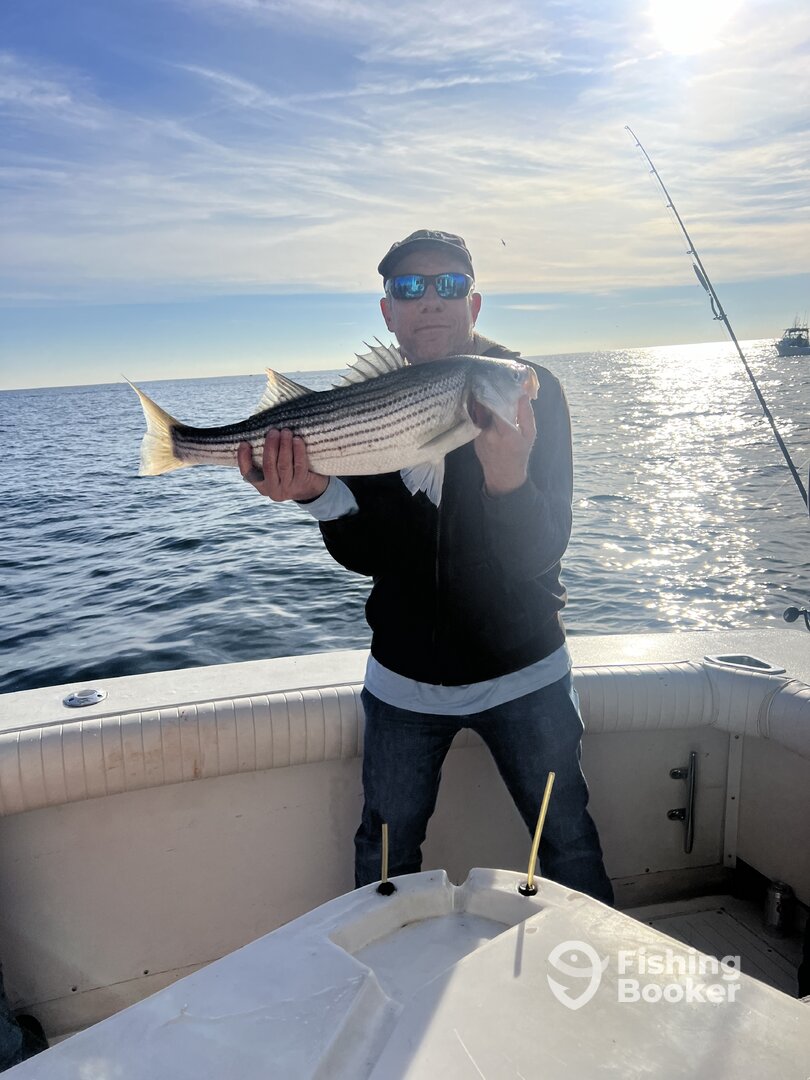 Belmar Report Photo 0