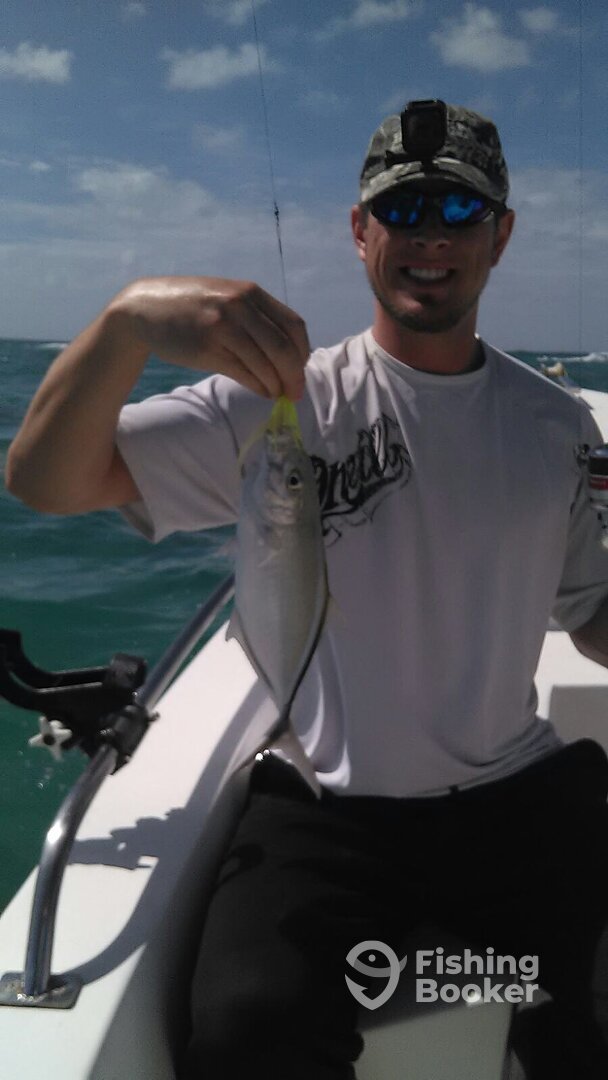 Punta Cana Report Photo 0