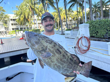 Kingfish grouper and snapper morning act
