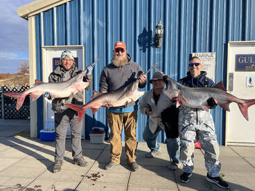 Sand Springs Report Photo 2