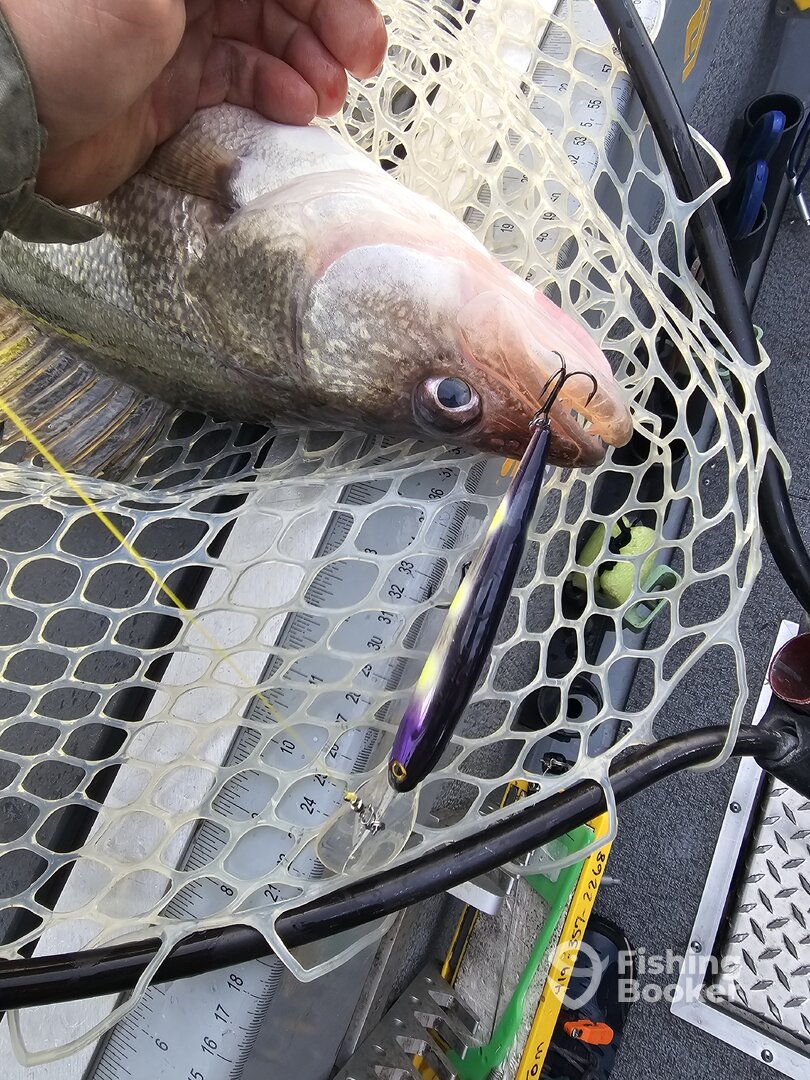 Lakeside Marblehead Report Photo 0