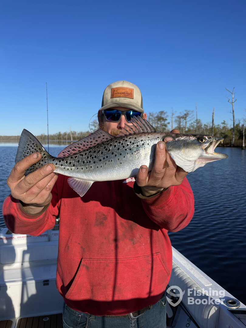 Wanchese Report Photo 0
