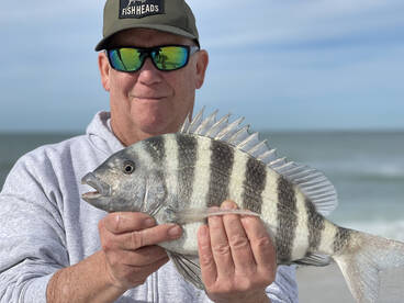 Longboat Key Report Photo 2