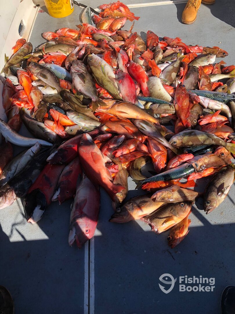 Baja California Report Photo 0