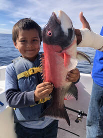 Baja California Report Photo 2