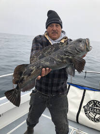 Baja California Report Photo 1
