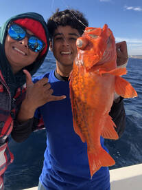 Ensenada Report Photo 1
