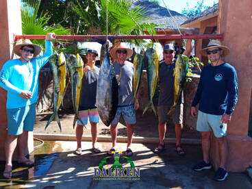 San Jose del Cabo Report Photo 2