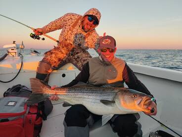 Monster Migrators!