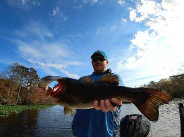Big bass!