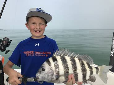 Sarasota Report Photo 2