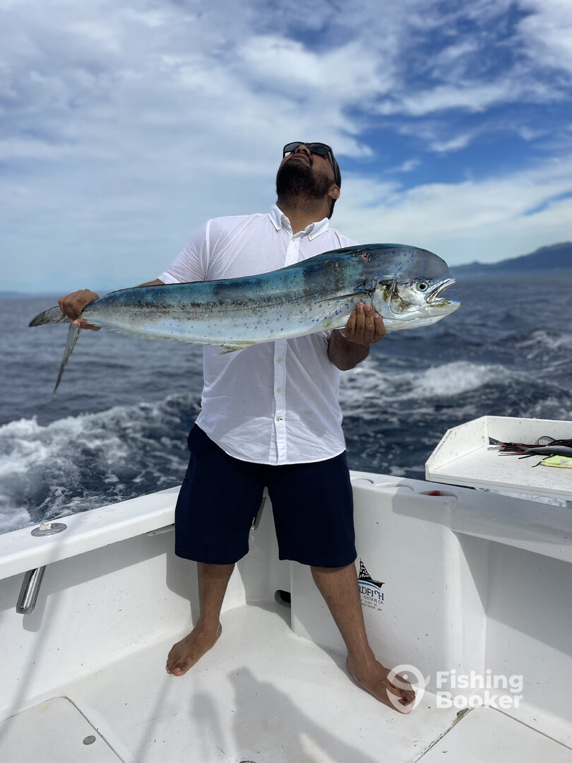 Quepos Report Photo 0